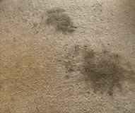 Tapis taché avant le nettoyage MathClean