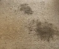 Tapis et moquette avant l'intervention MathClean