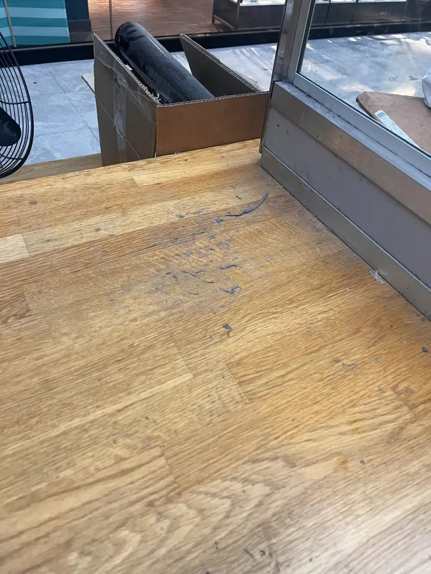 Éliminer les acariens de son matelas — conseil de nettoyage MathClean